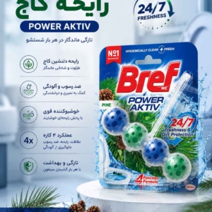 قرص توپی برف WC Power Aktiv رایحه کاج