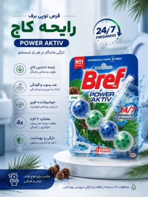 قرص توپی برف WC Power Aktiv رایحه کاج